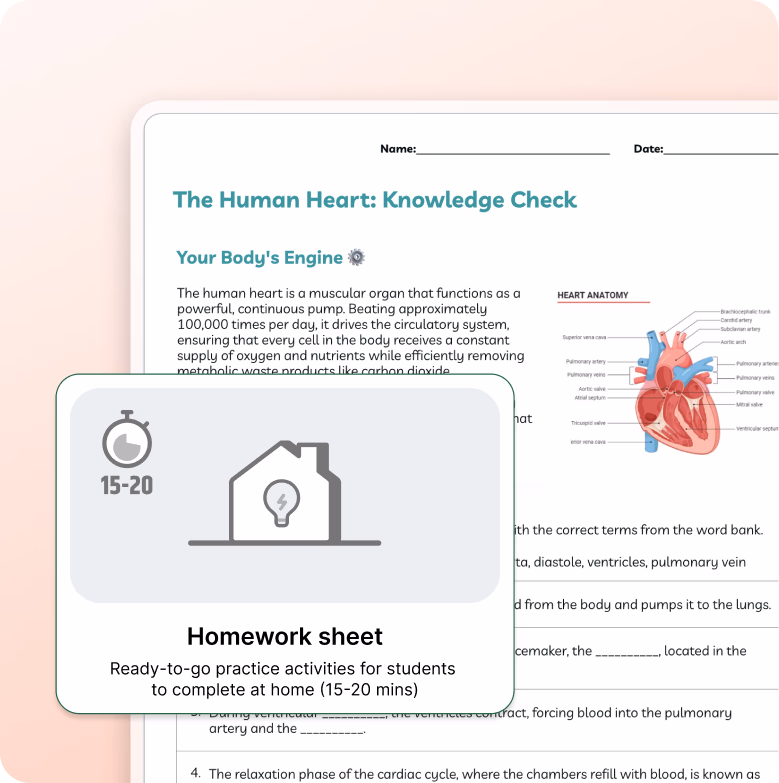 AI generated homework sheet